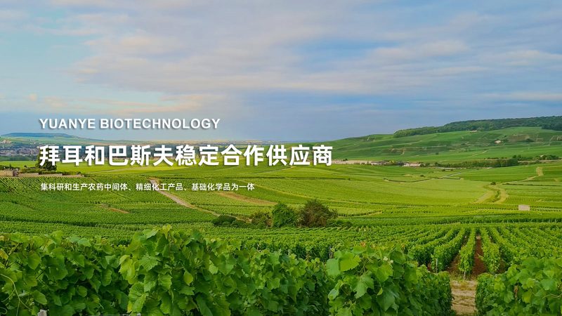 肿瘤基因检测：揭秘其技术原理与选购要点