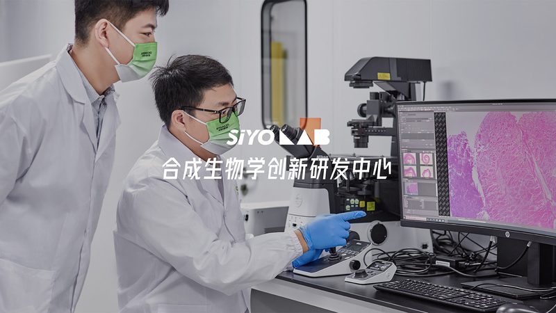 一个专业的细胞工厂安装公司，应该具备以下几方面的能力：