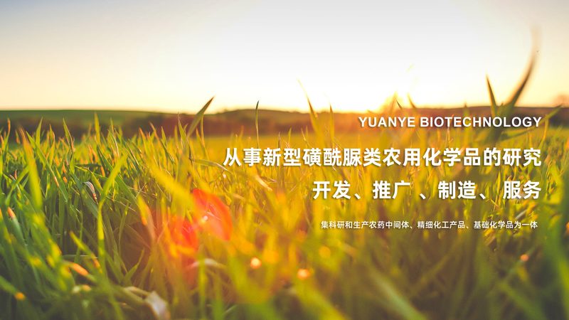 基因测序仪代理商：如何选择合适的合作伙伴**