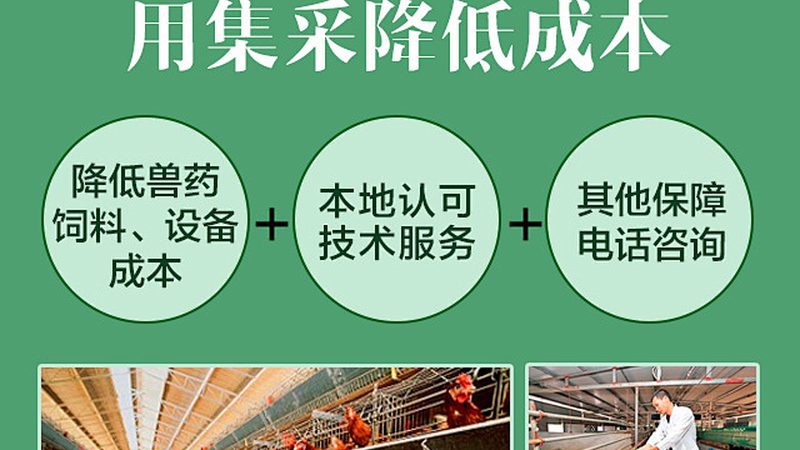 DNA聚合酶型号解析：揭秘基因编辑的“精准利器