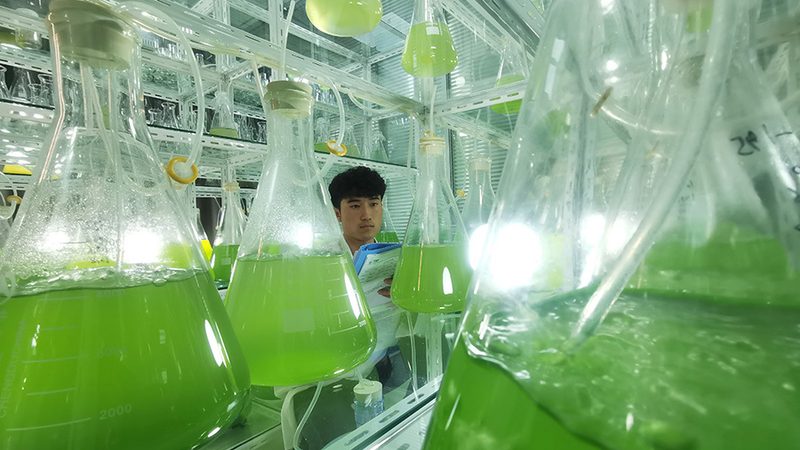 科研生物试剂采购，你了解这些步骤吗？**